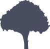 tree silhouette 1