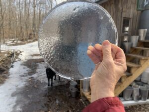 ice in sugar bush